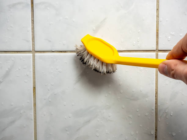 Best Local Mold Removal Service  in Kelly Ridge, CA