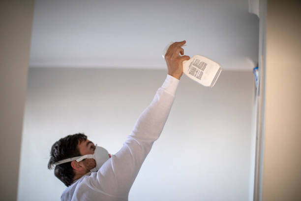 Best Best Mold Removal Companies  in Kelly Ridge, CA