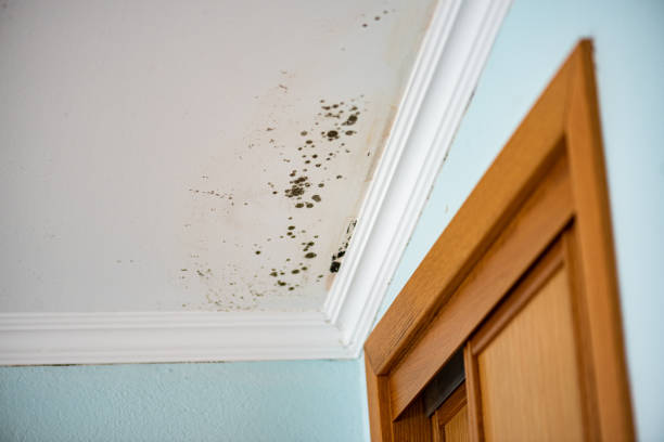 Water Damage Restoration in Kelly Ridge, CA