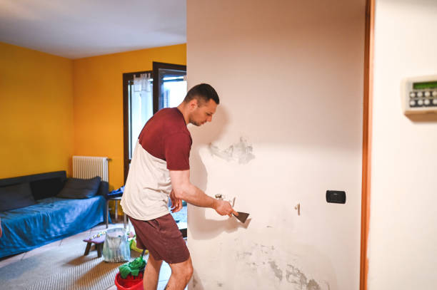 Kelly Ridge, CA Mold Removal Company